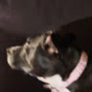 Meet your Posher, Heather carpenter